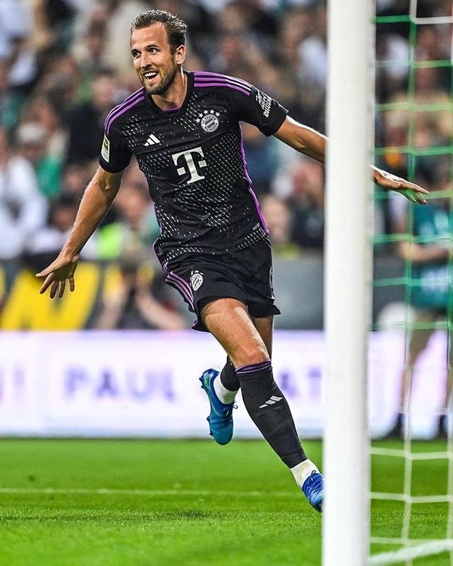 疑是一场硬 疑是一场硬